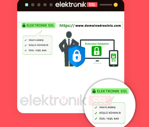 SSL Satın Al: Hangi SSL Sertifikası Size Uygun?