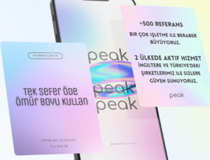 SEO Paketleri ile Dijital Başarıya Ulaşın: Peak Web’in Özel Çözümleri